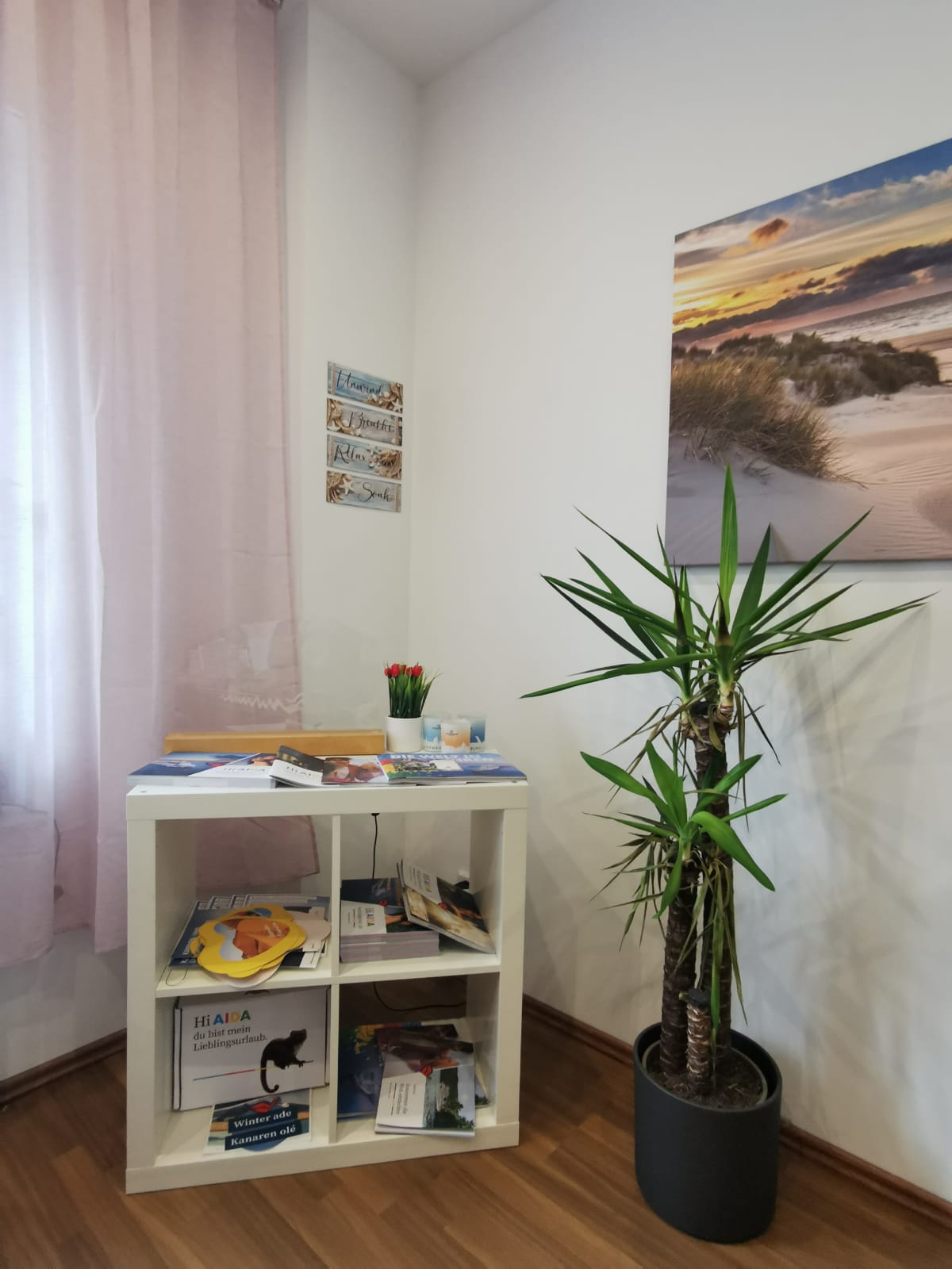 Einblick in den Laden - Foto 9